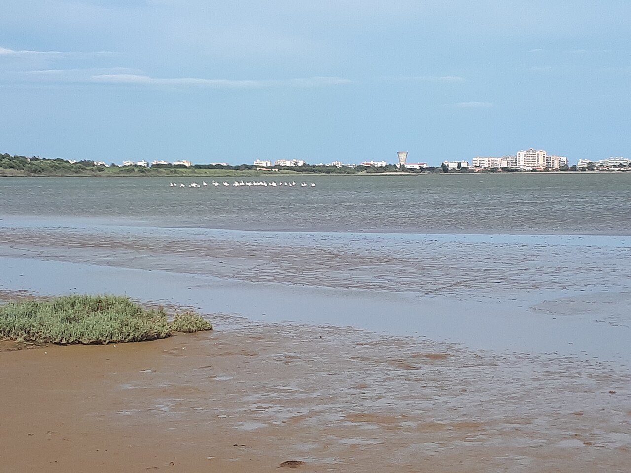 ETANG DE CANET SAINT NAZAIRE à Canet-en-Roussillon