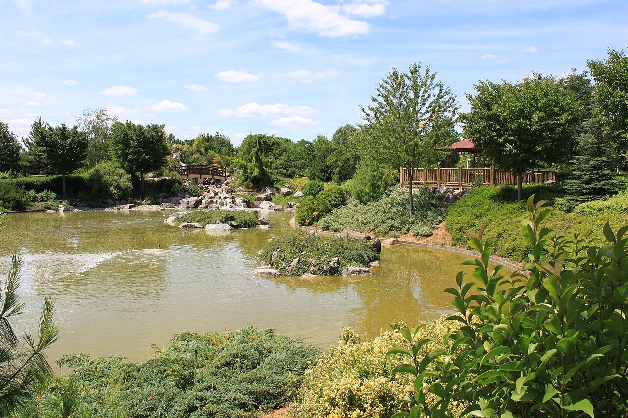 Jardin japonais