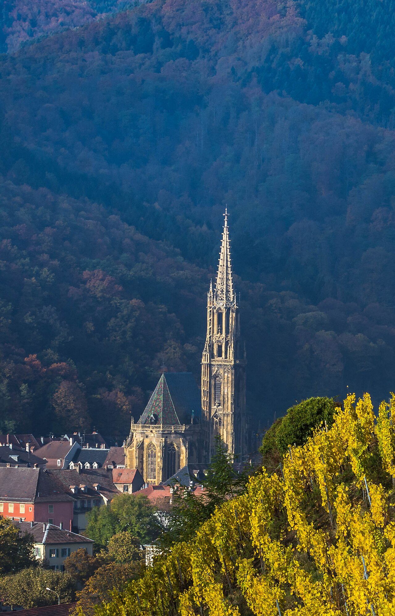 Le vignoble du Rangen