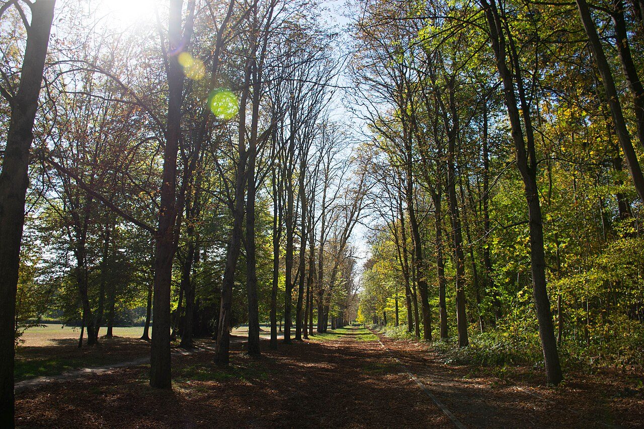 Parc du Château