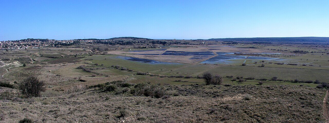 ETANG DE LA MATTE à Lespignan
