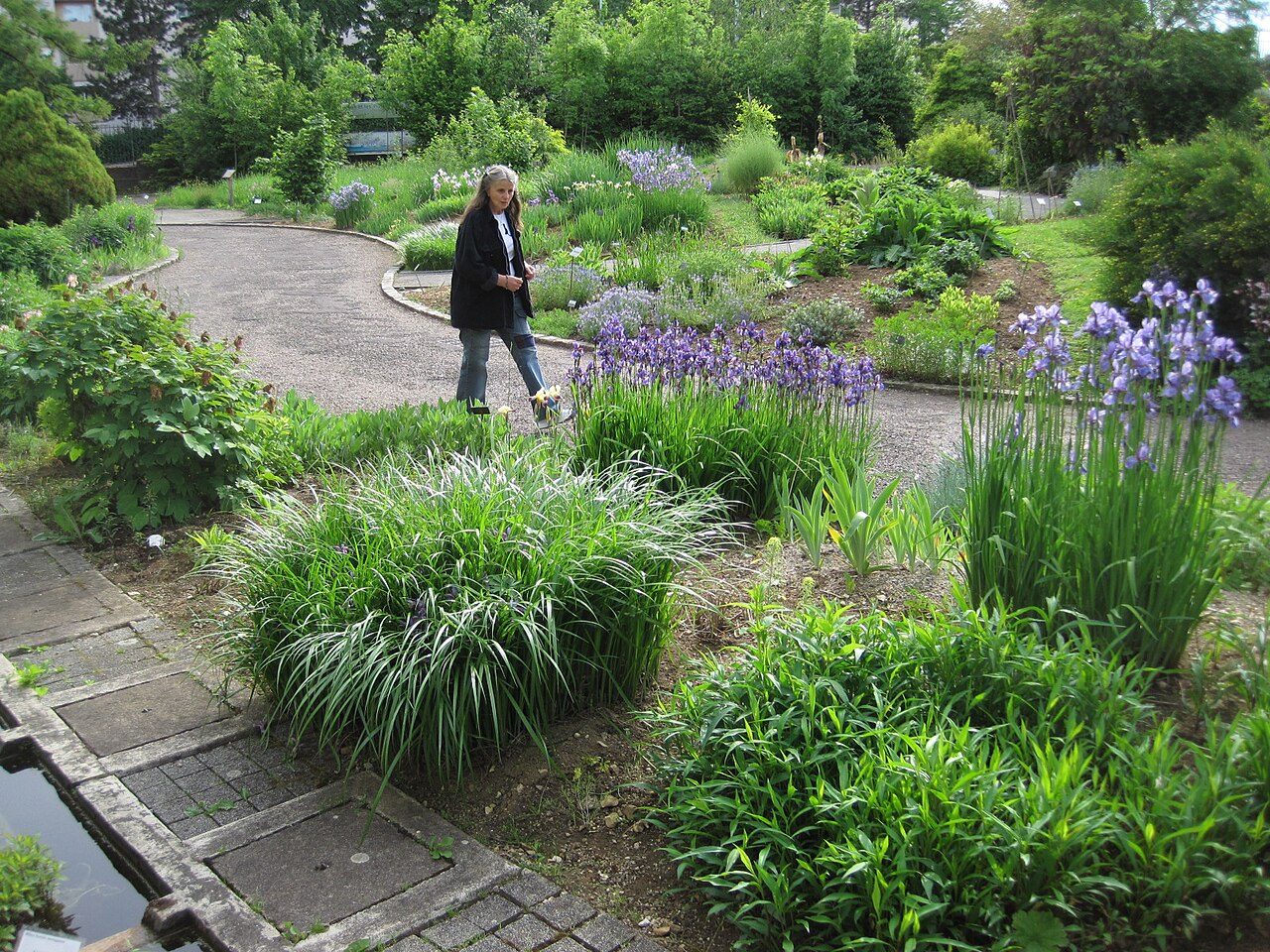 Le Jardin botanique, Biome