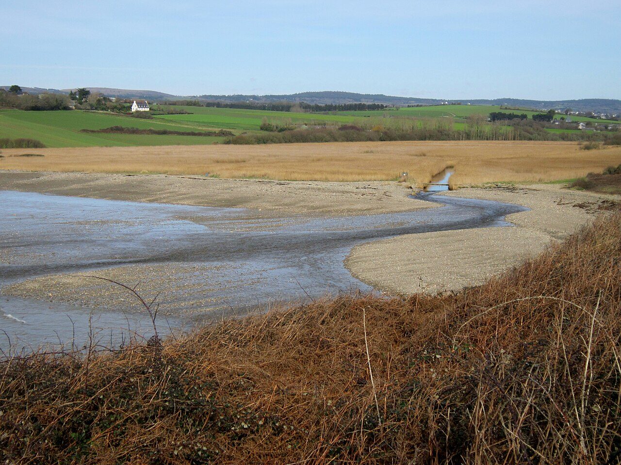 Le marais de Kervijen à Ploéven