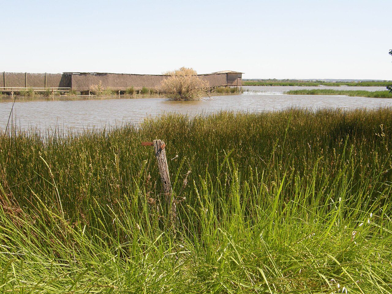 Réserve Naturelle Régionale du Mahistre et Musette à Saint-Laurent-d'Aigouze