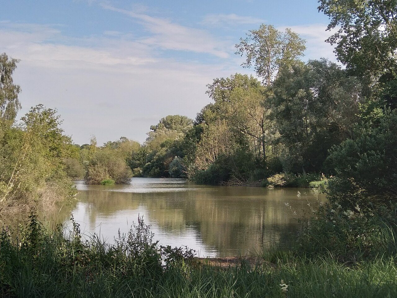 Marais de la Queue à Blangy