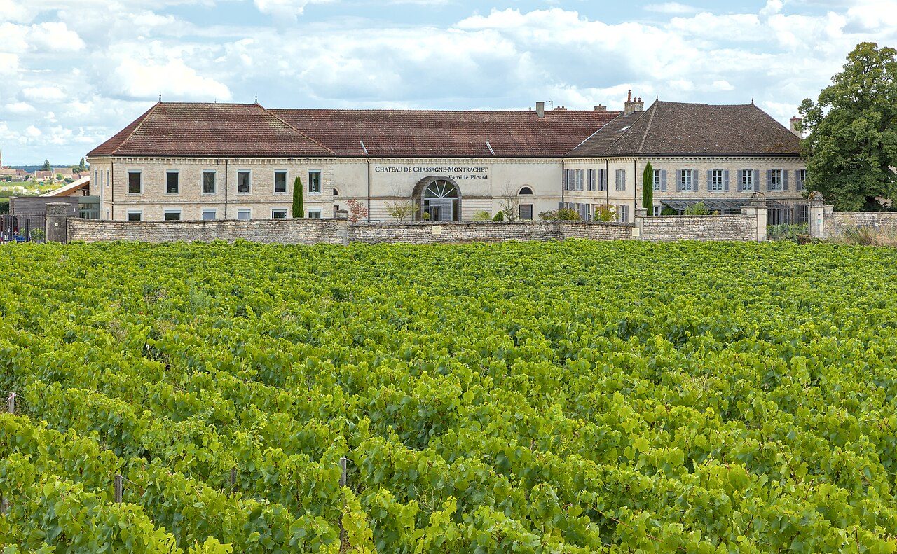Château de Chassagne-Montrachet à Chassagne-Montrachet