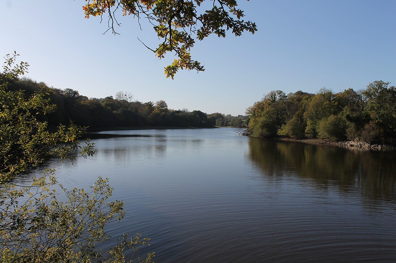 Lac de Bosméléac à Le Bodéo