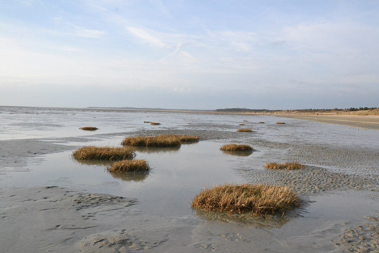 Marais du Crotoy à Le Crotoy