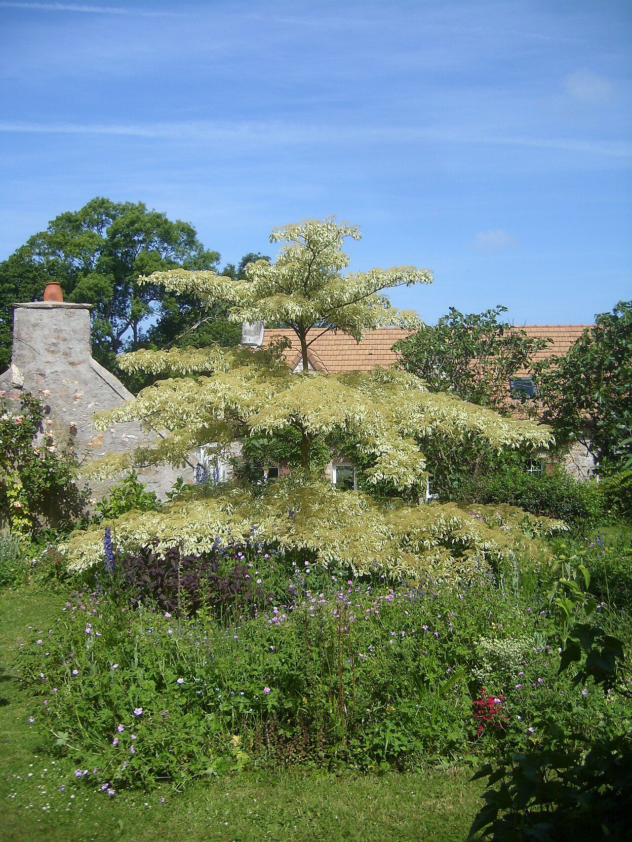 Jardin La Ferme des Roches à Martinvast