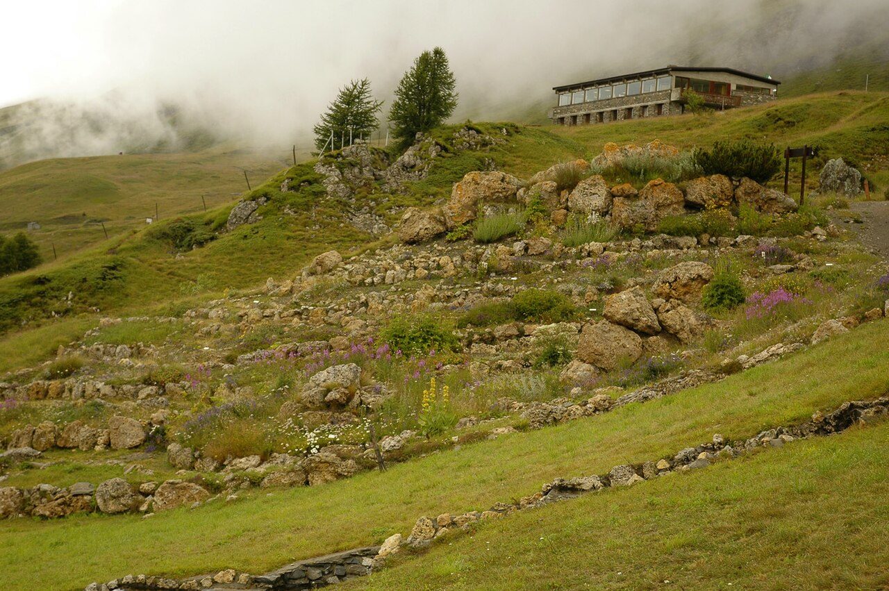 Le Jardin Alpin du Mont-Cenis à Val-Cenis