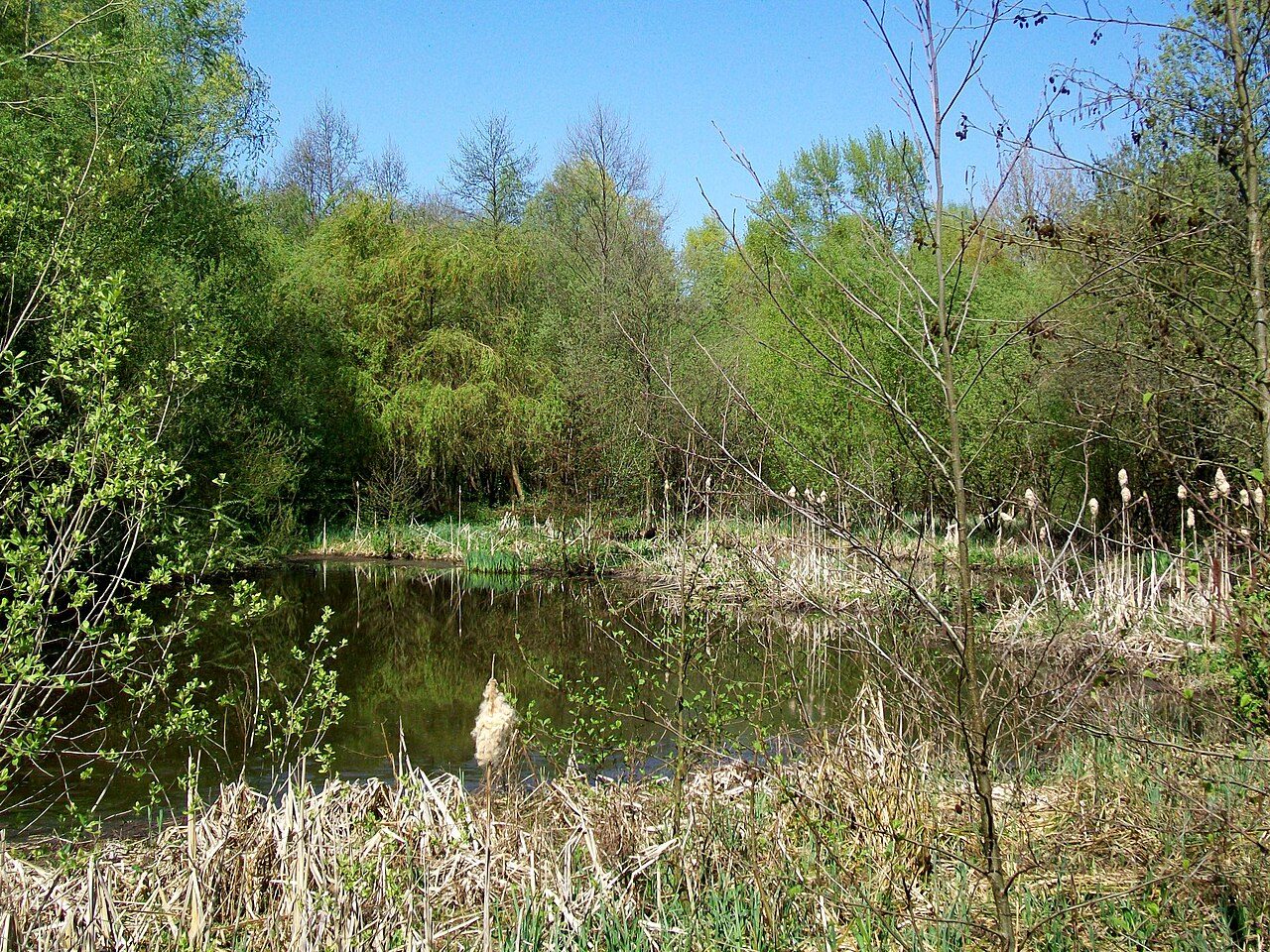 Parc écologique de Senlis