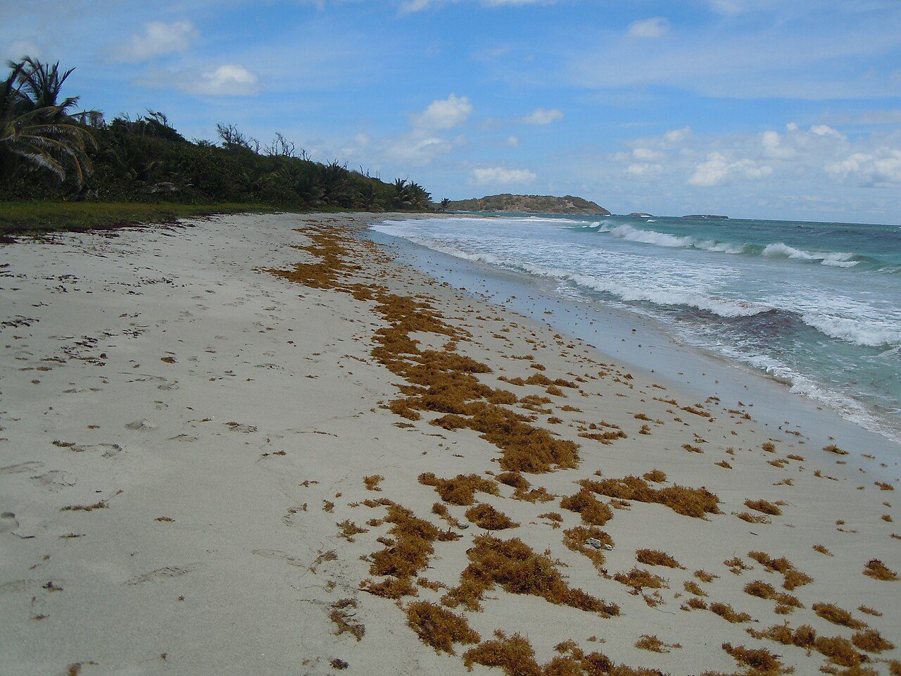 ANSE TRABAUD à Sainte-Anne