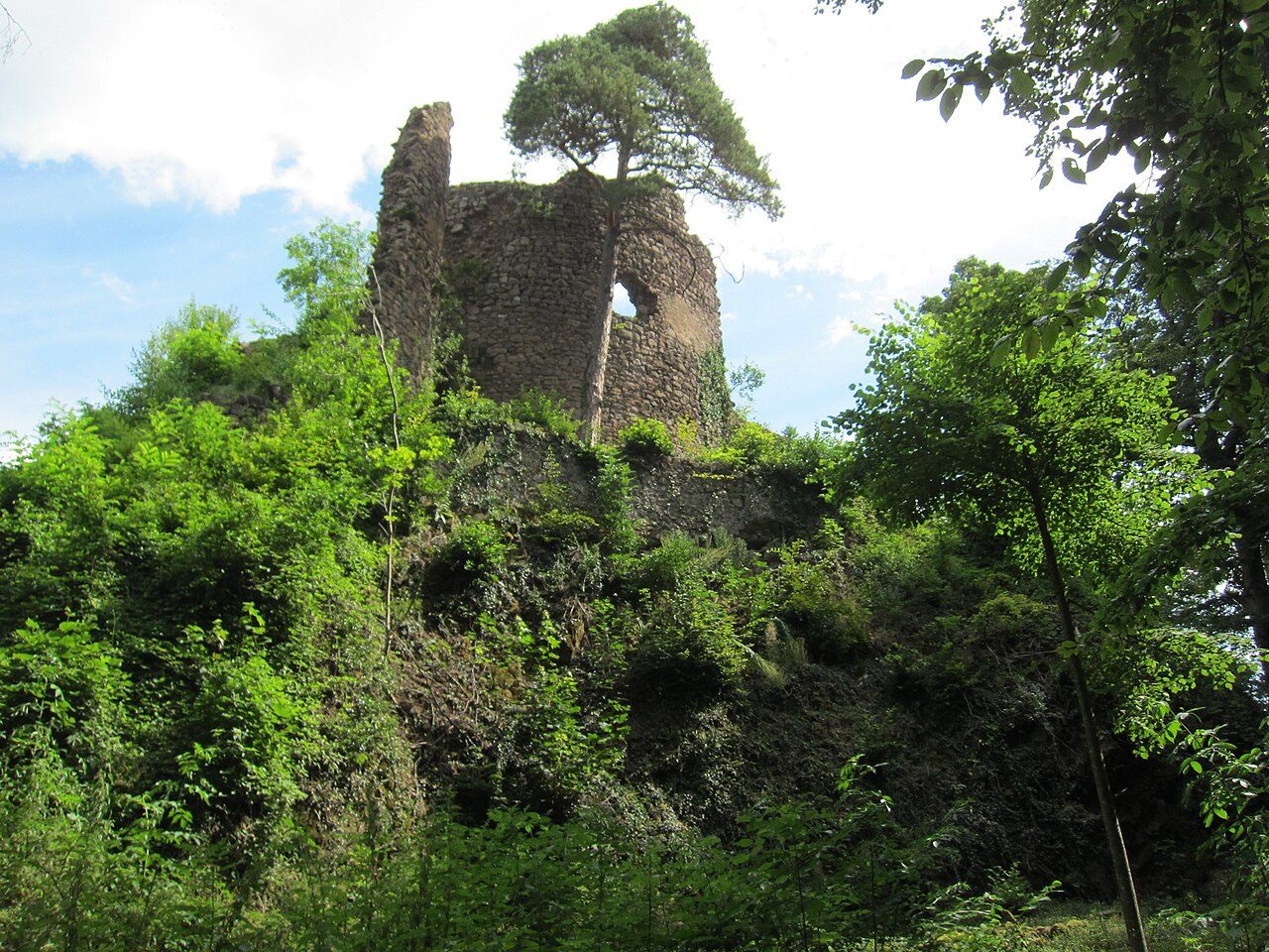 Château de Schwarzenbourg - ruines à Griesbach-au-Val