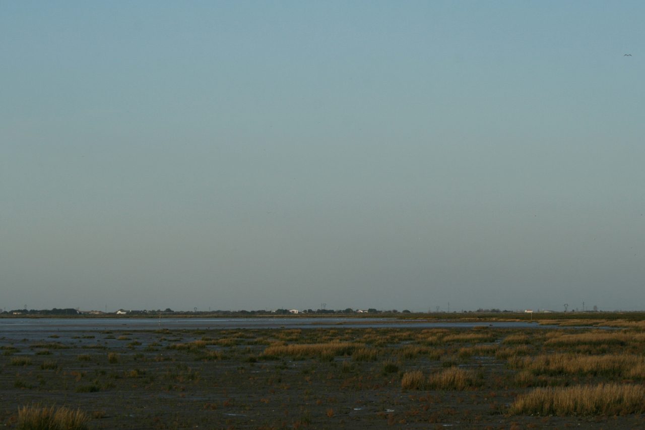 La Réserve naturelle nationale de la Baie de l'Aiguillon à Sainte-Radégonde-des-Noyers