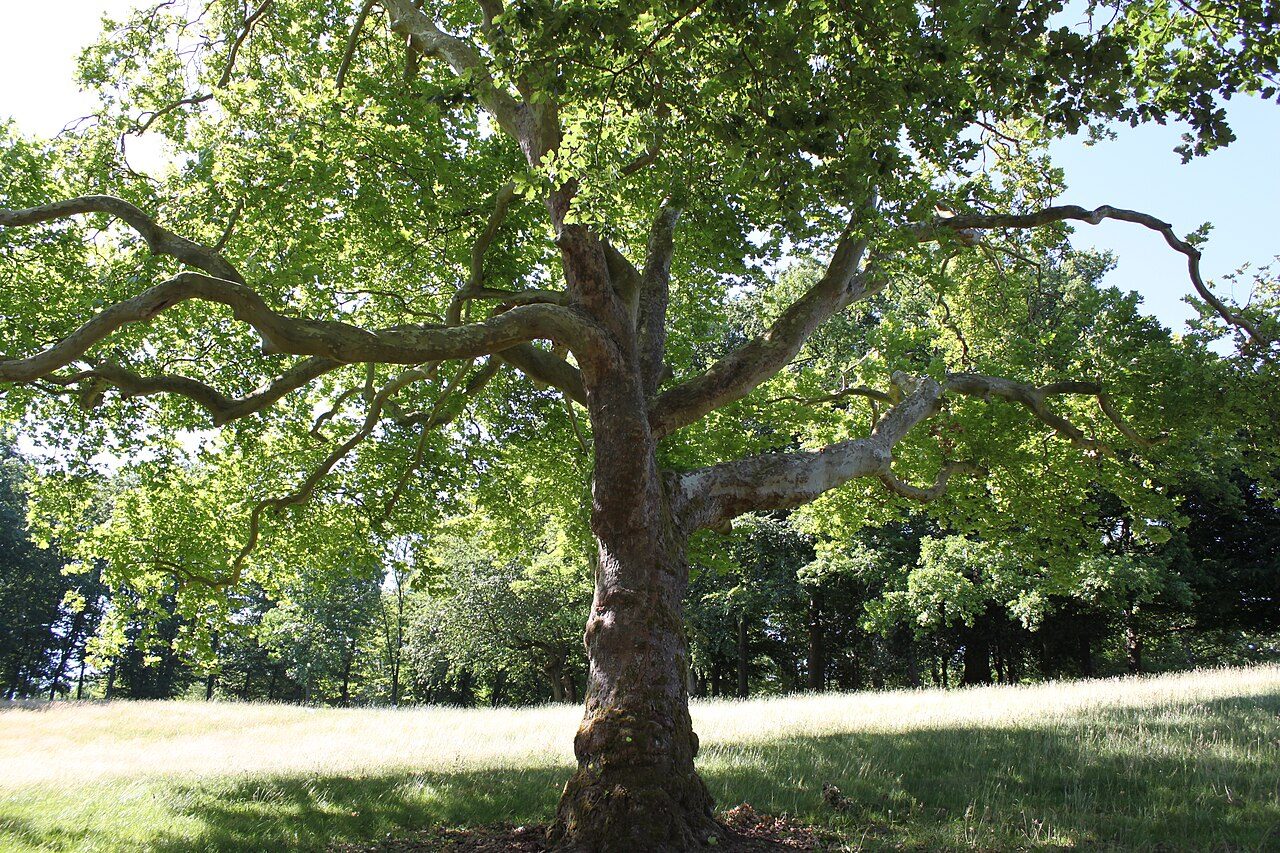 Parc de la Verrerie