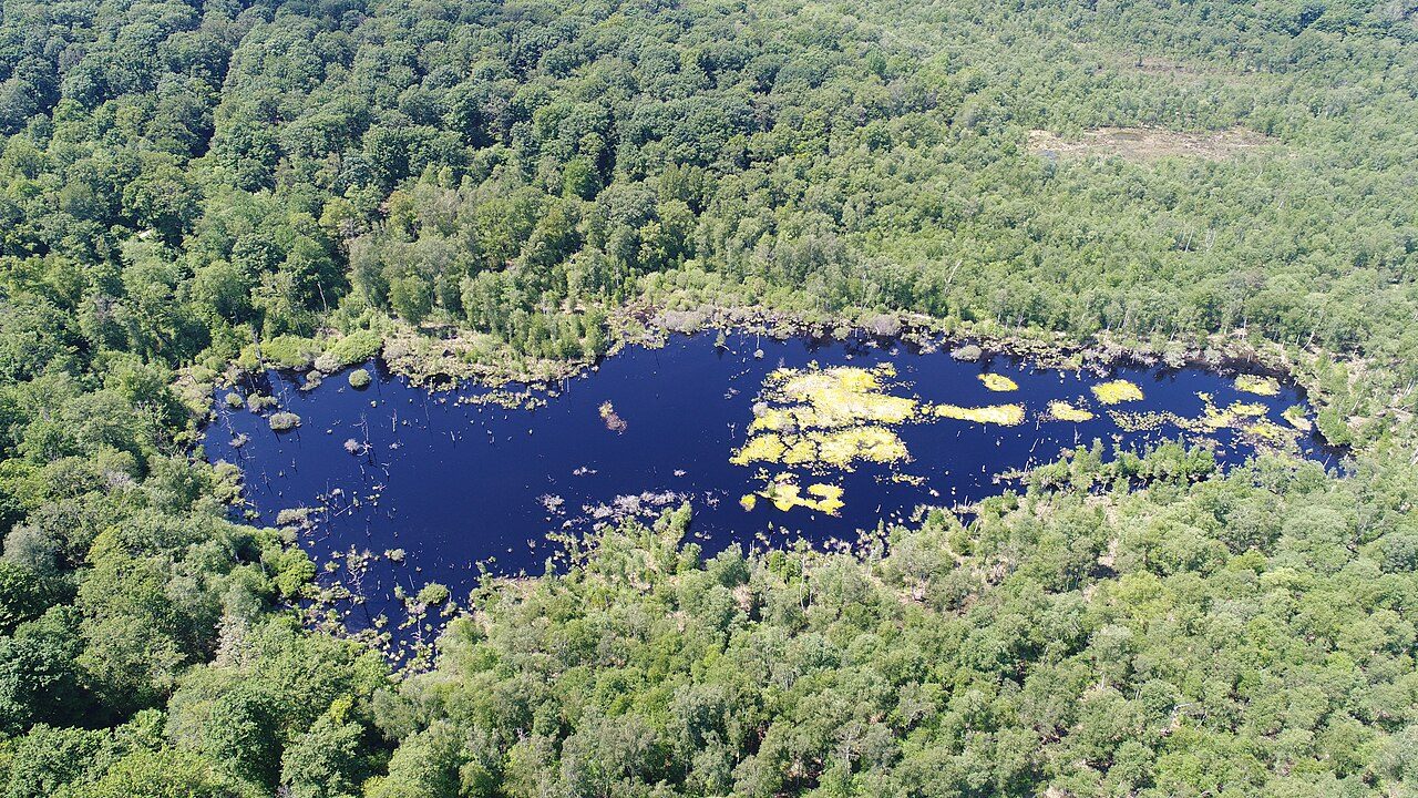 Réserve naturelle de la Tourbière de la Grande Pile