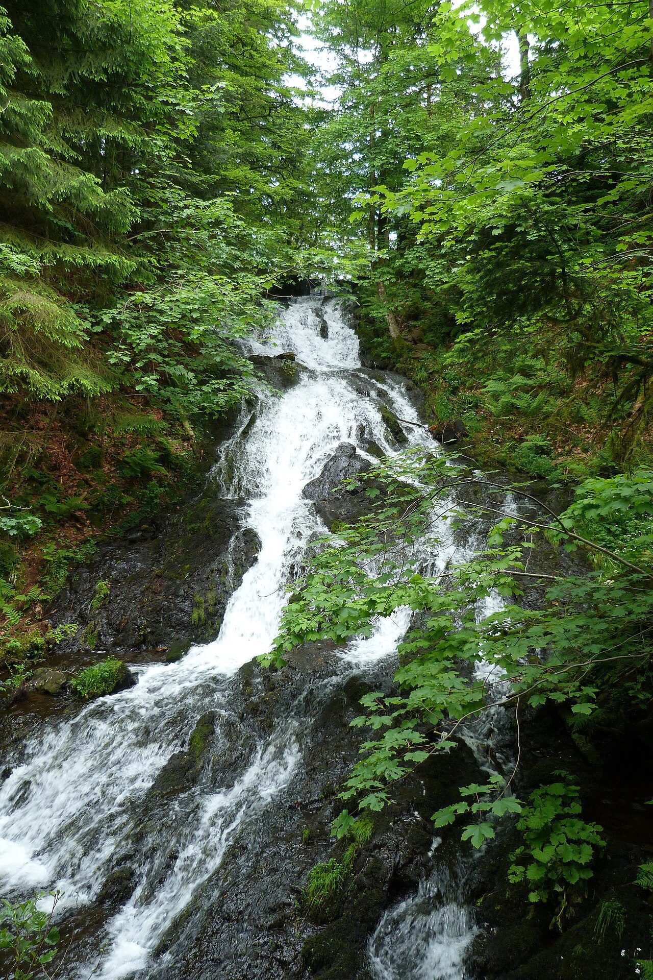 La cascade de Retournemer