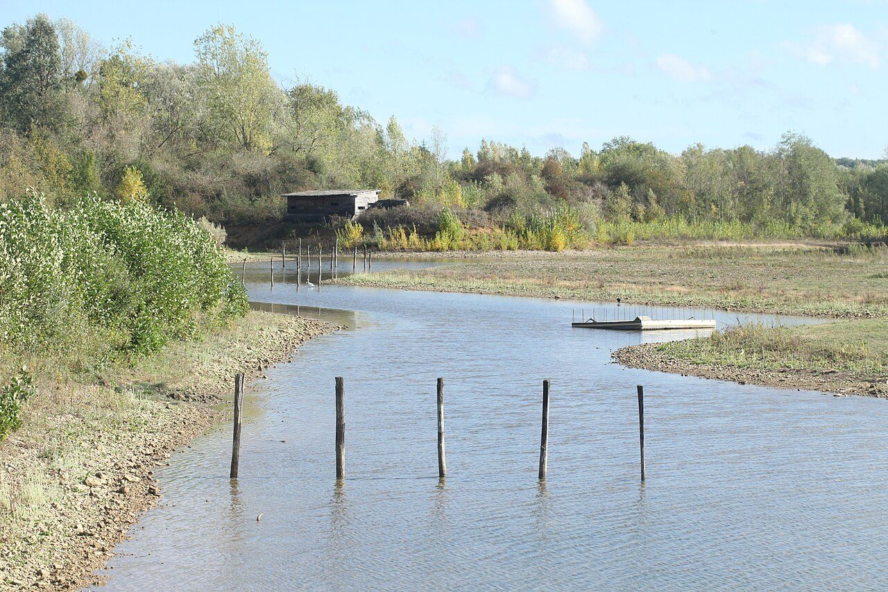 Réserve Naturelle Régionale du plan d'eau de Saint-Cyr à Beaumont Saint-Cyr