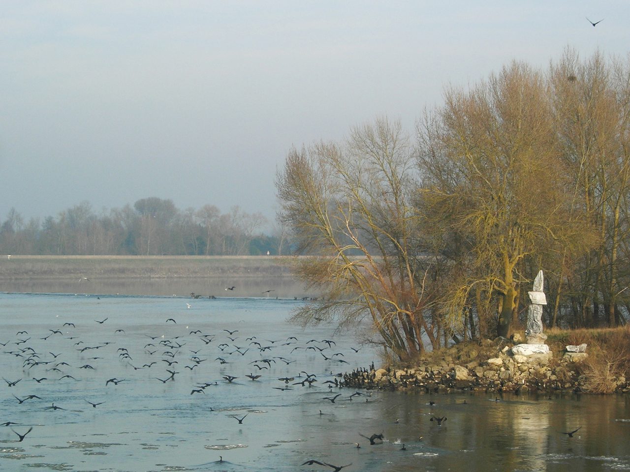 L'ILE DE CHALONNES à Chalonnes-sur-Loire