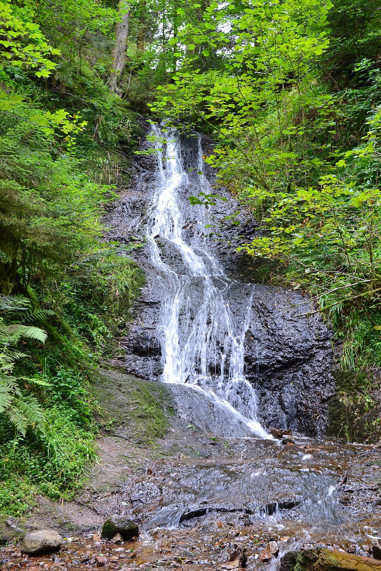 Le saut de la bourrique
