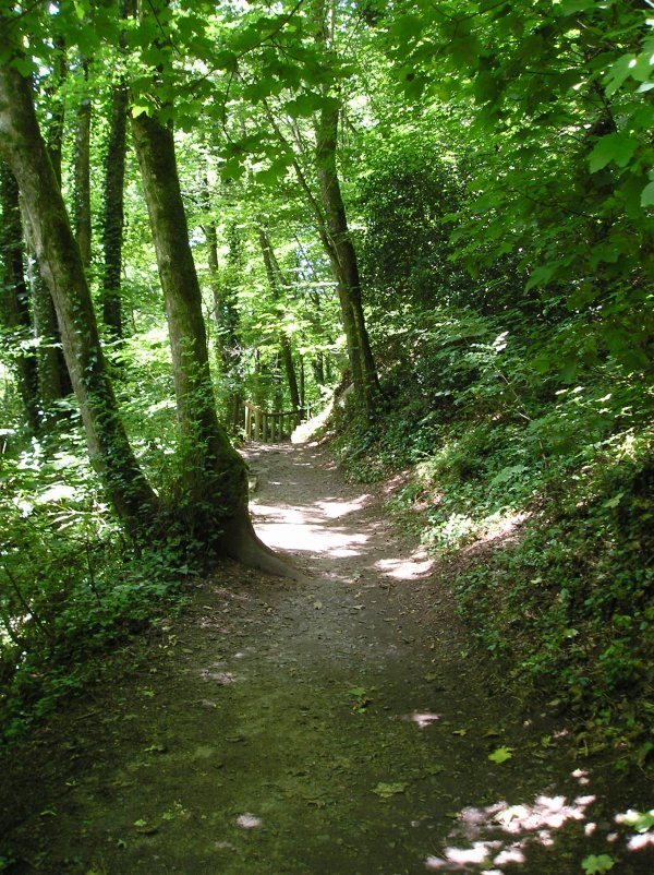 Bois de Keroual à Guilers
