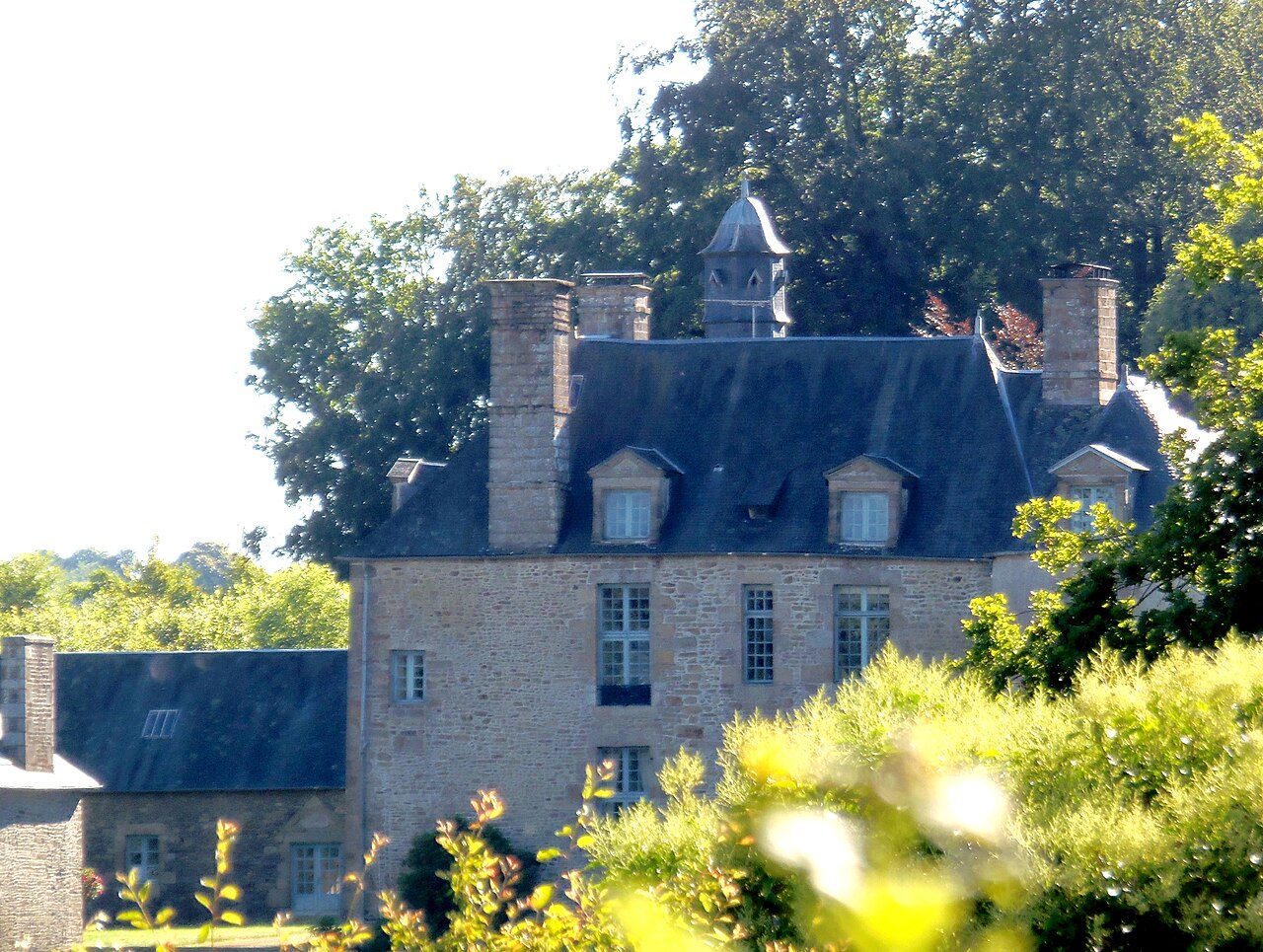Château de Goué à Fougerolles-du-Plessis