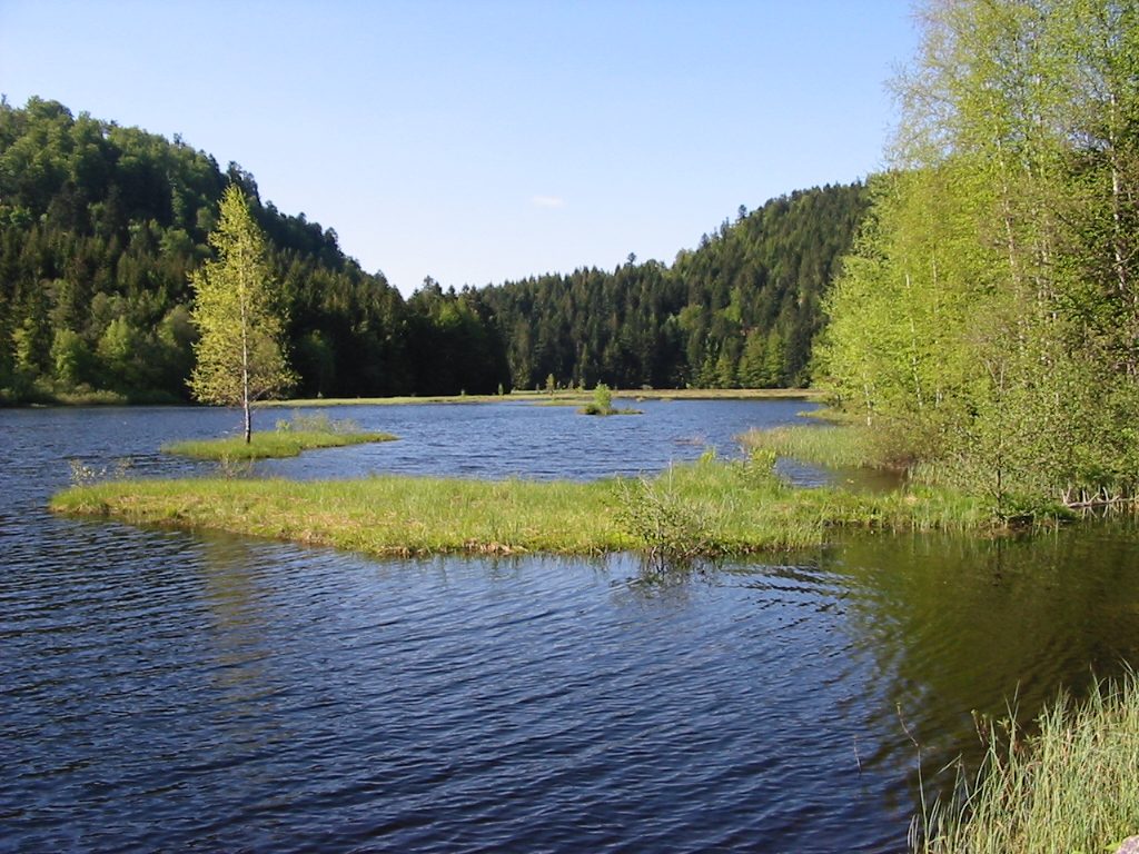 Le lac de lispach