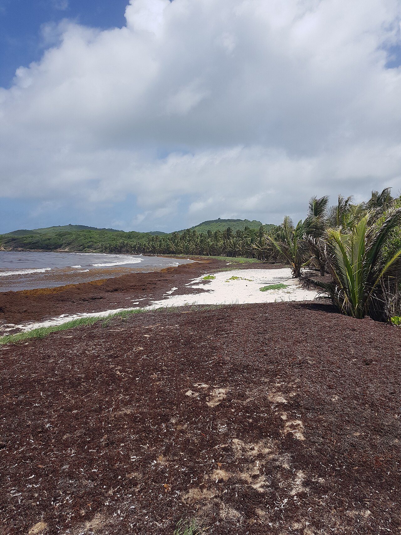 ANSE PETIT MACABOU à Le Vauclin