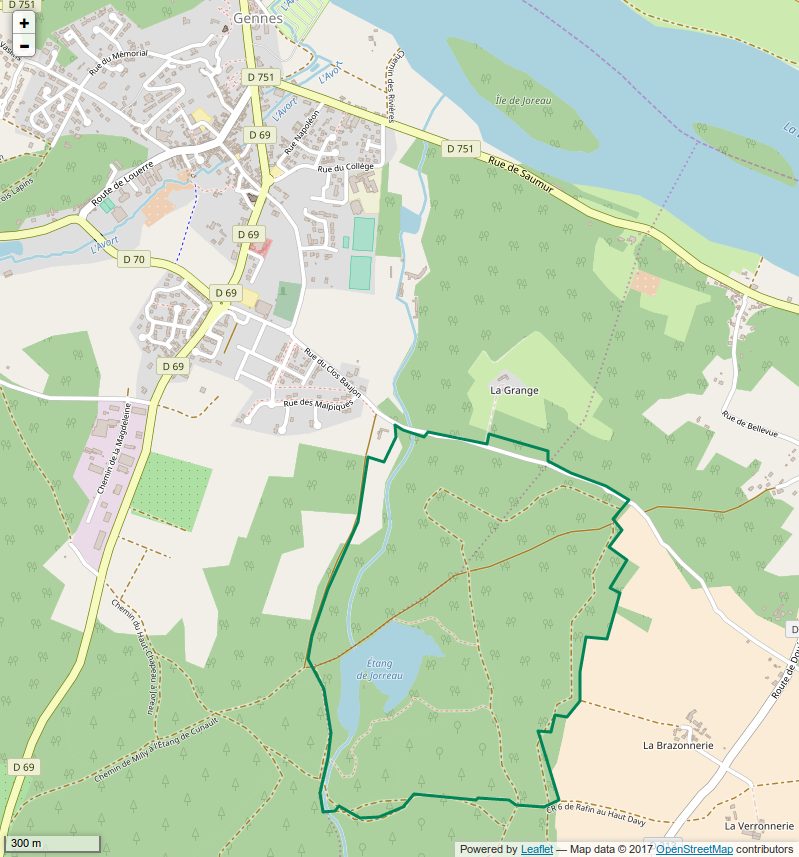 ETANG ET BOISEMENTS DE JOREAU à Gennes-Val-de-Loire