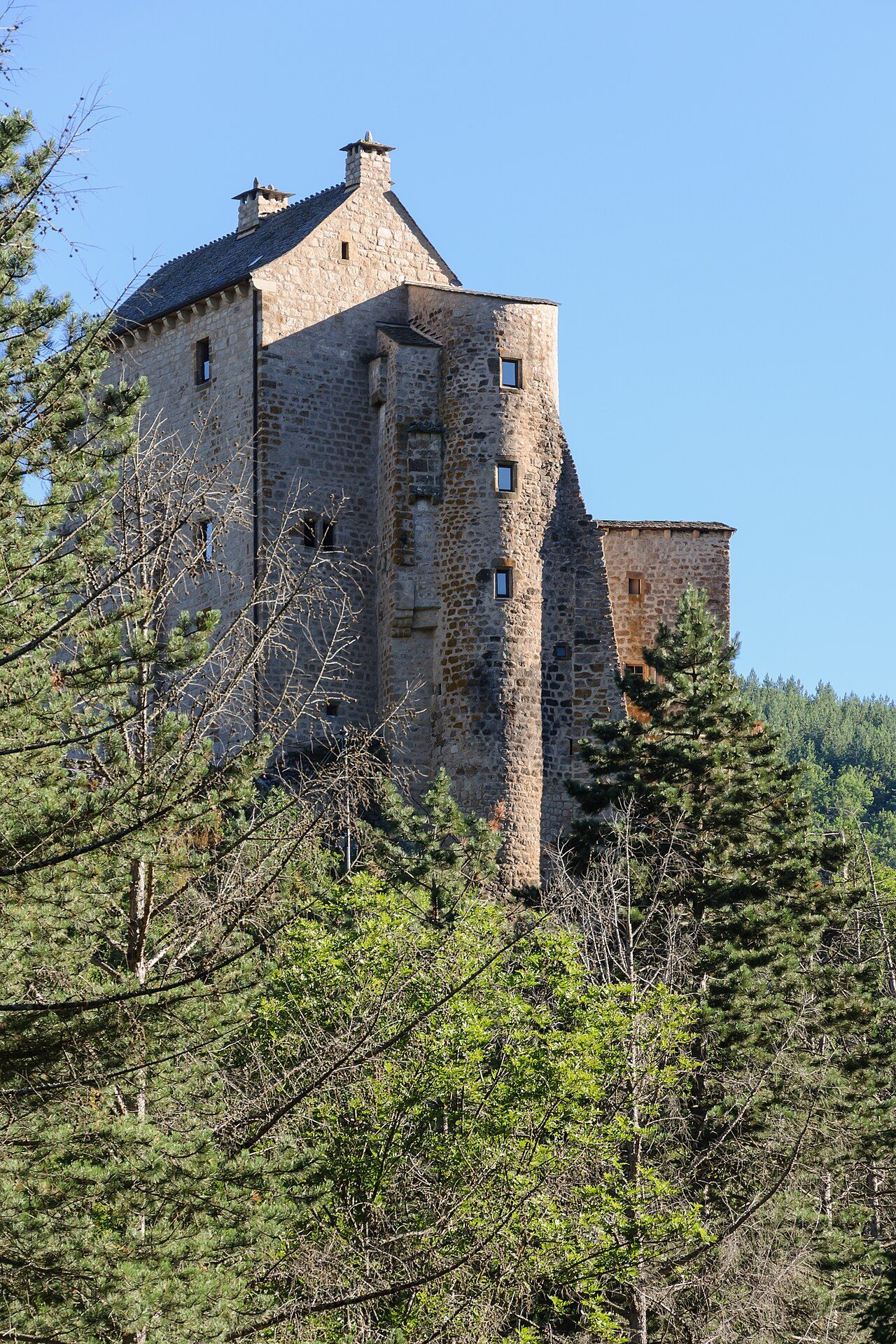 CHATEAU DU MIRAL à Bédouès-Cocurès