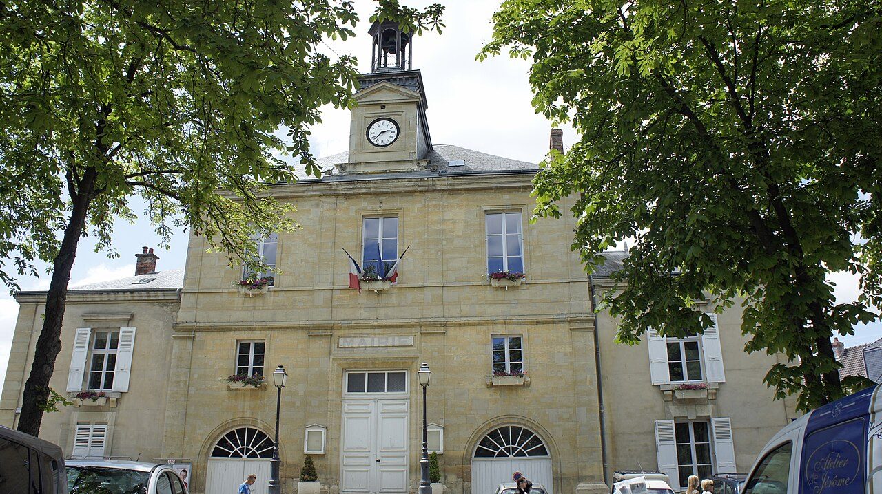 Le Marronnier d'Hermonville à Hermonville
