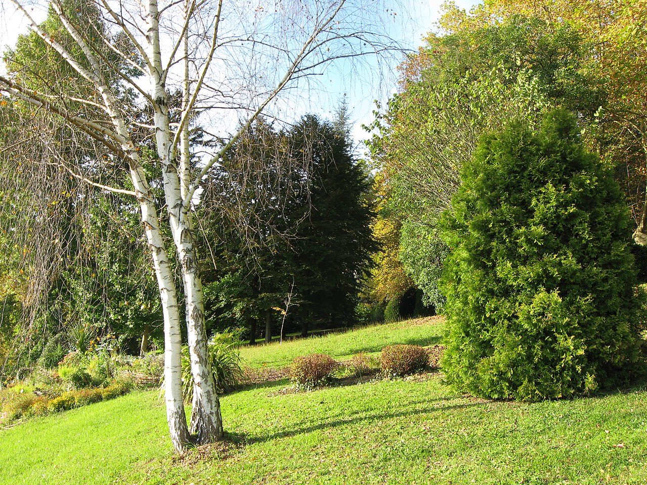 Parc pommé à Oloron-Sainte-Marie