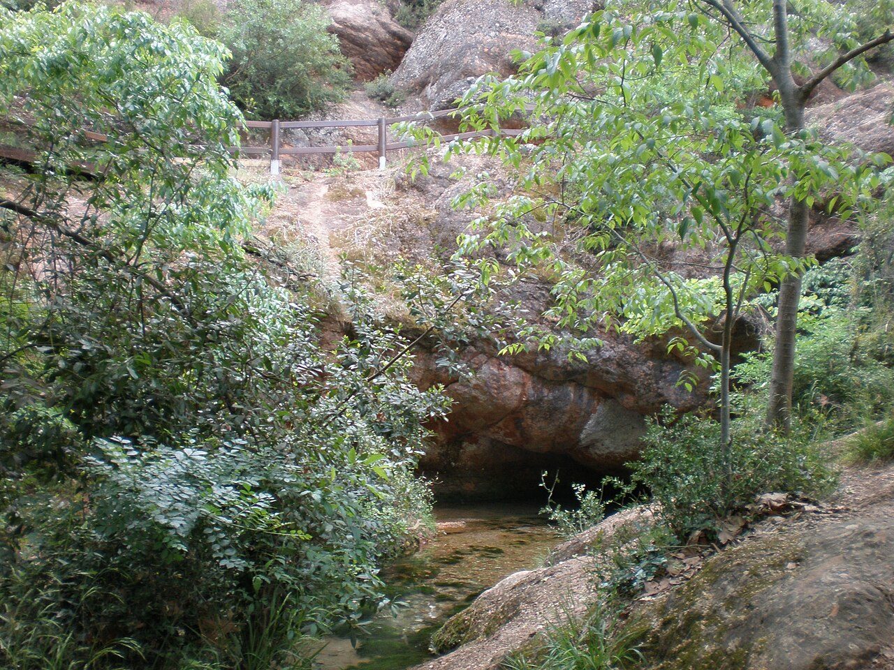 LA SOURCE DE L'AVY à Grabels