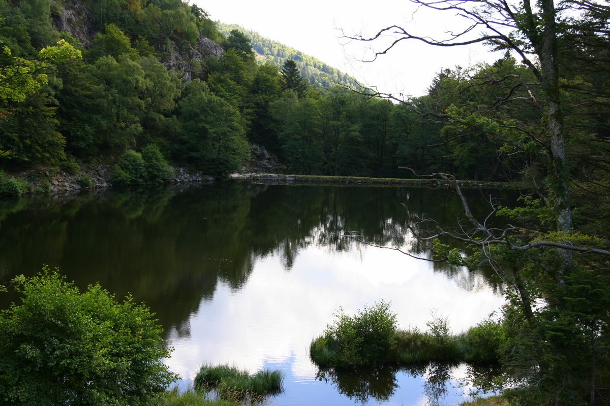 Lacs du Neuweiher