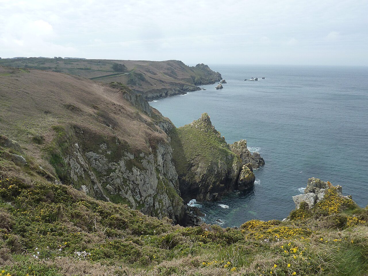 Réserve du Cap-Sizun à Goulien
