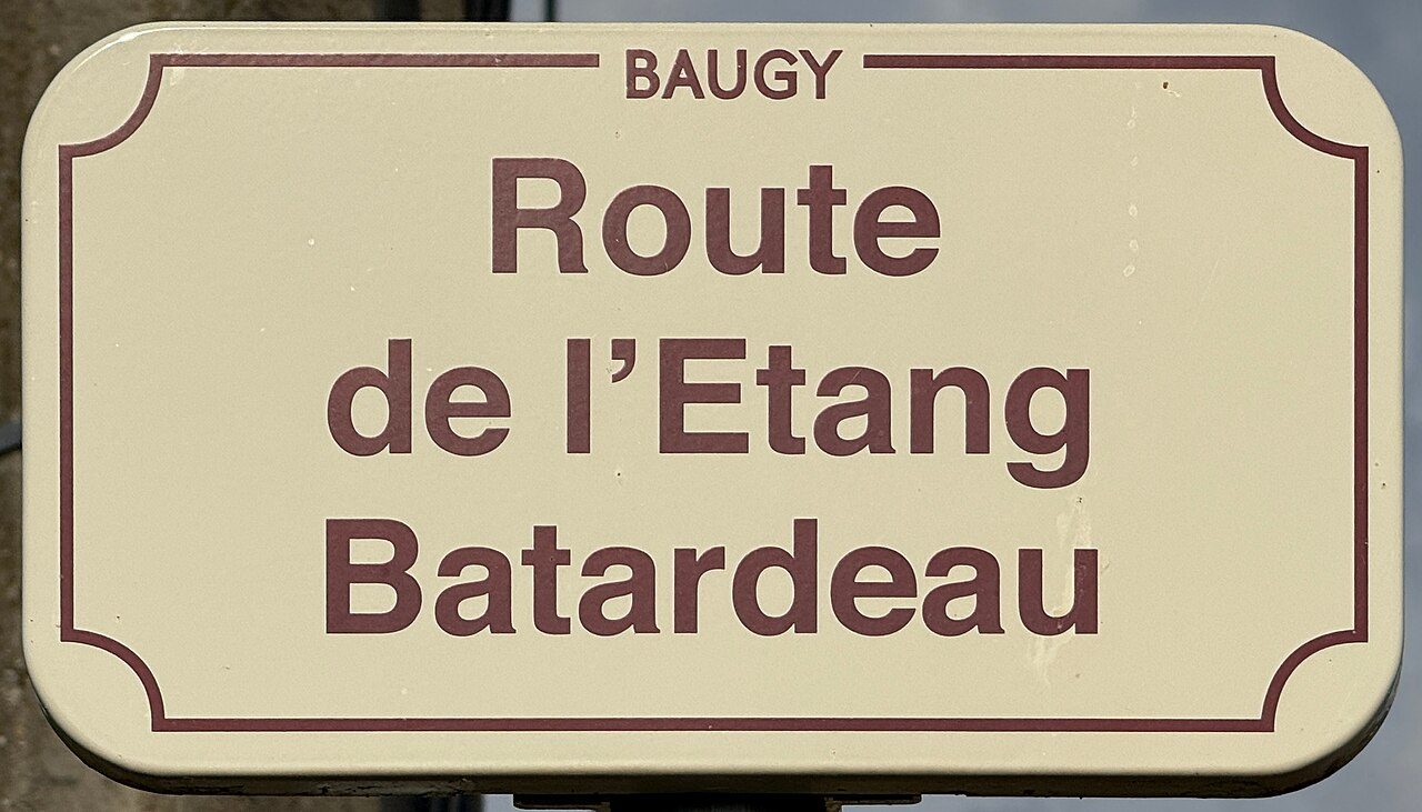 Étang de Batardeau à Baugy