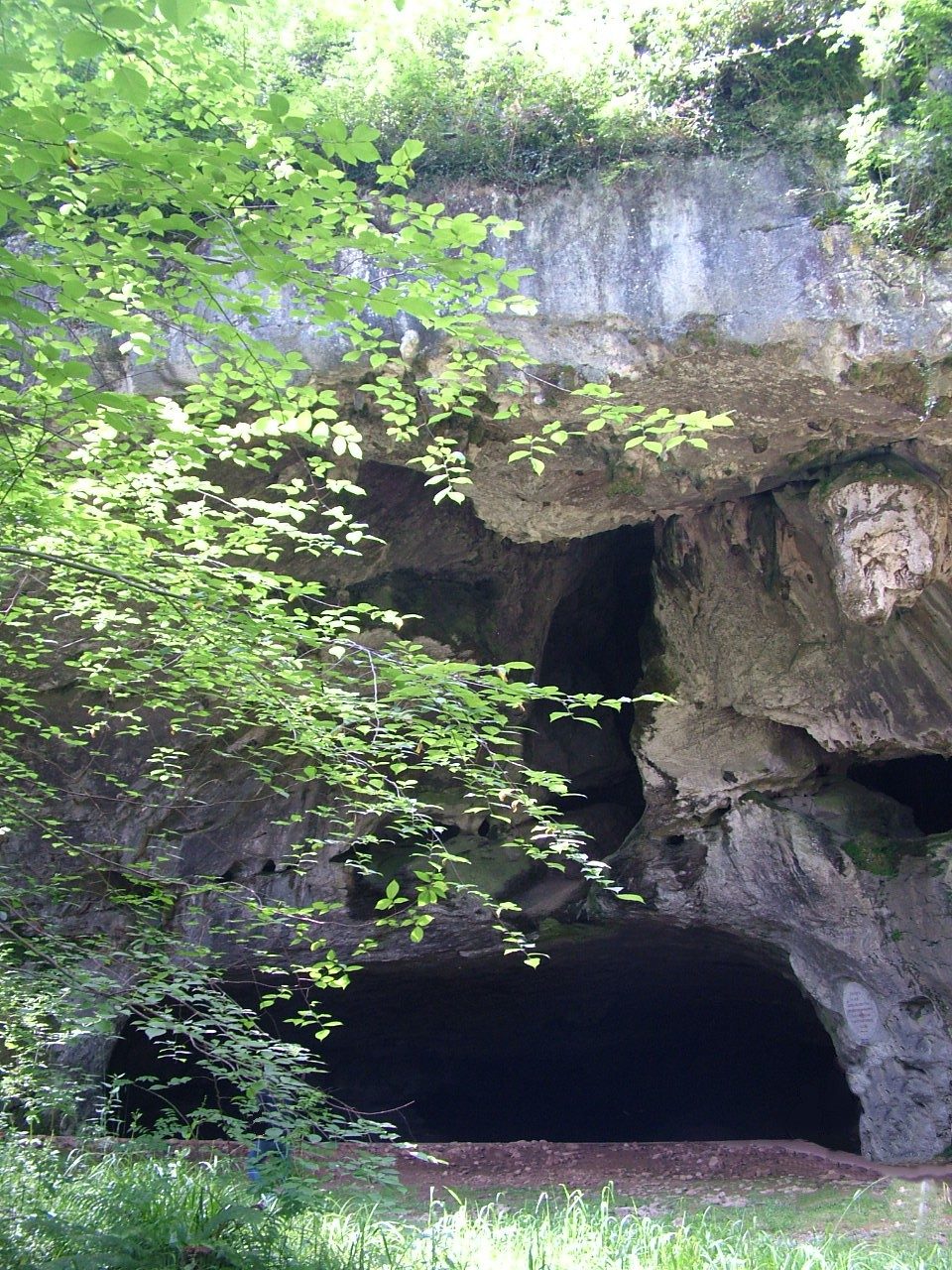 Grottes Préhistoriques de Sare à Sare