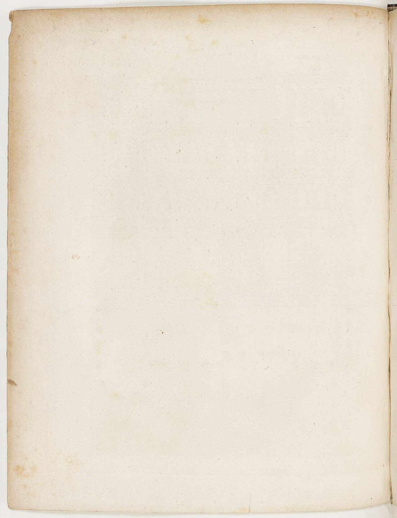 Bibliothèque de Trèves