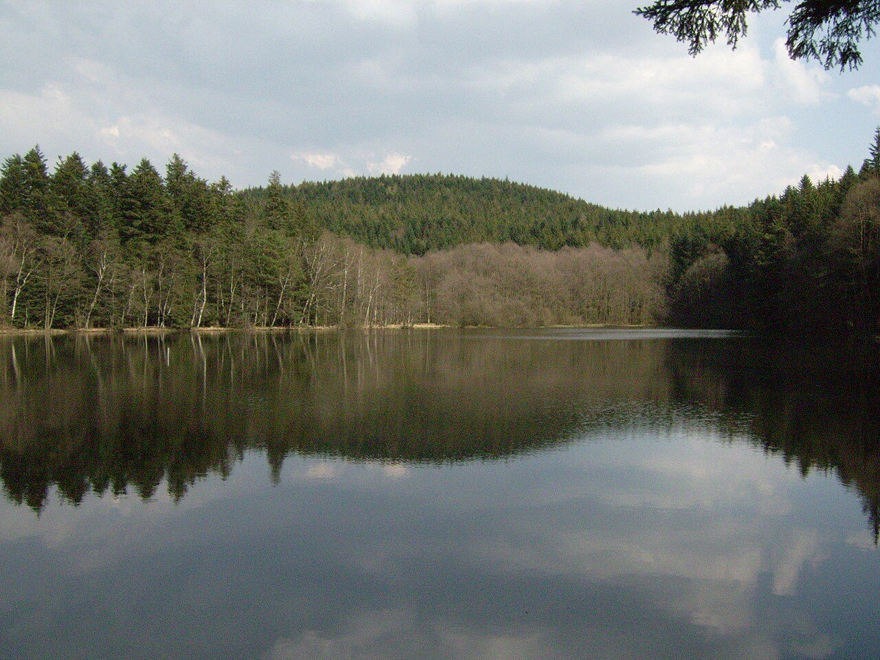 Étang du Villerain à Girmont-Val-d'Ajol