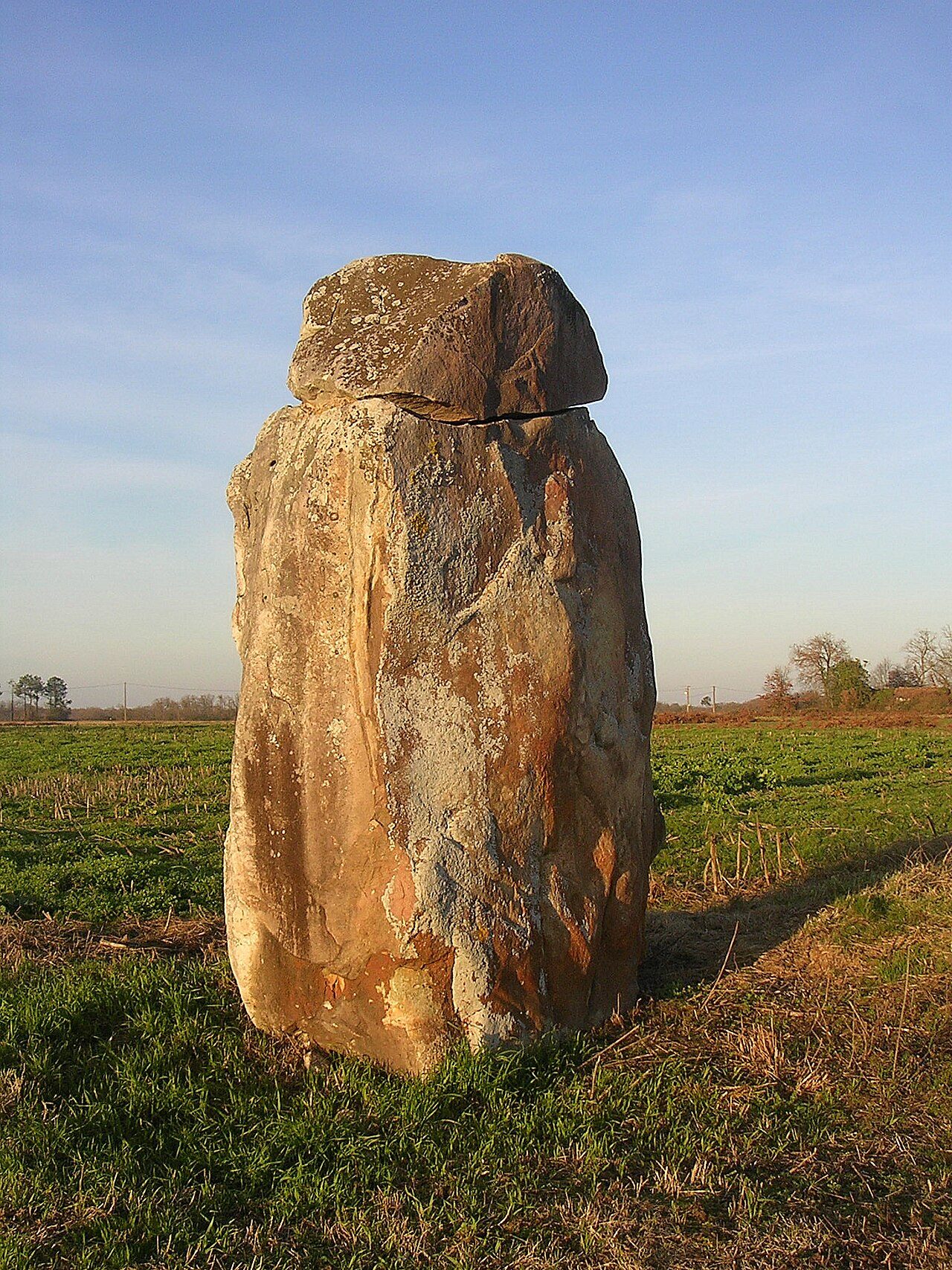 Mégalithe de Guillay à Larrivière-Saint-Savin