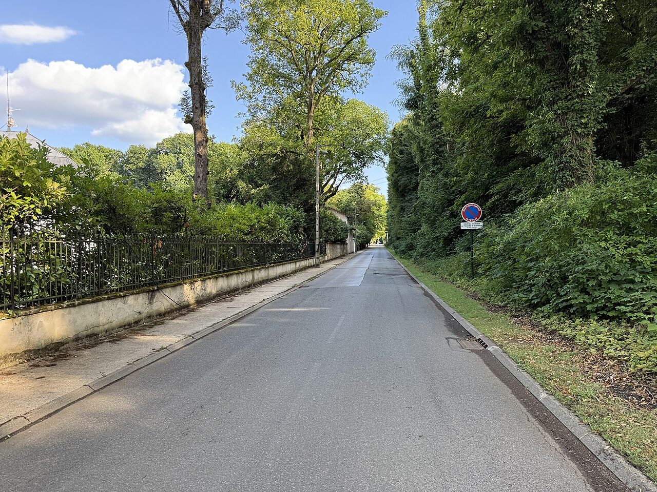 Bois de Chigny à Chanteloup-en-Brie