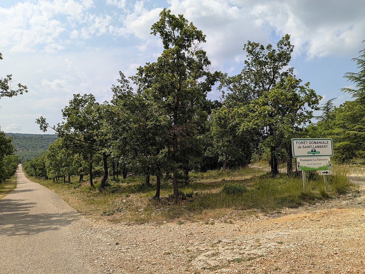 Forêt de Saint Lambert à Lioux