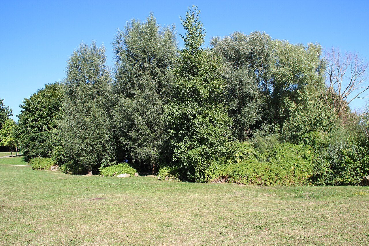 Parc des Sources de la Bièvre à Guyancourt