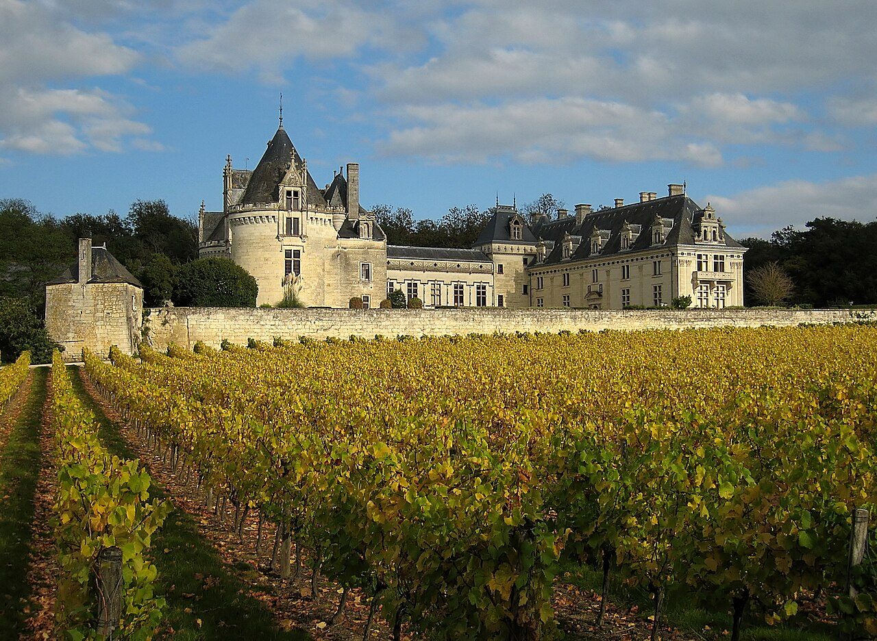 Château de Brézé à Bellevigne-les-Châteaux