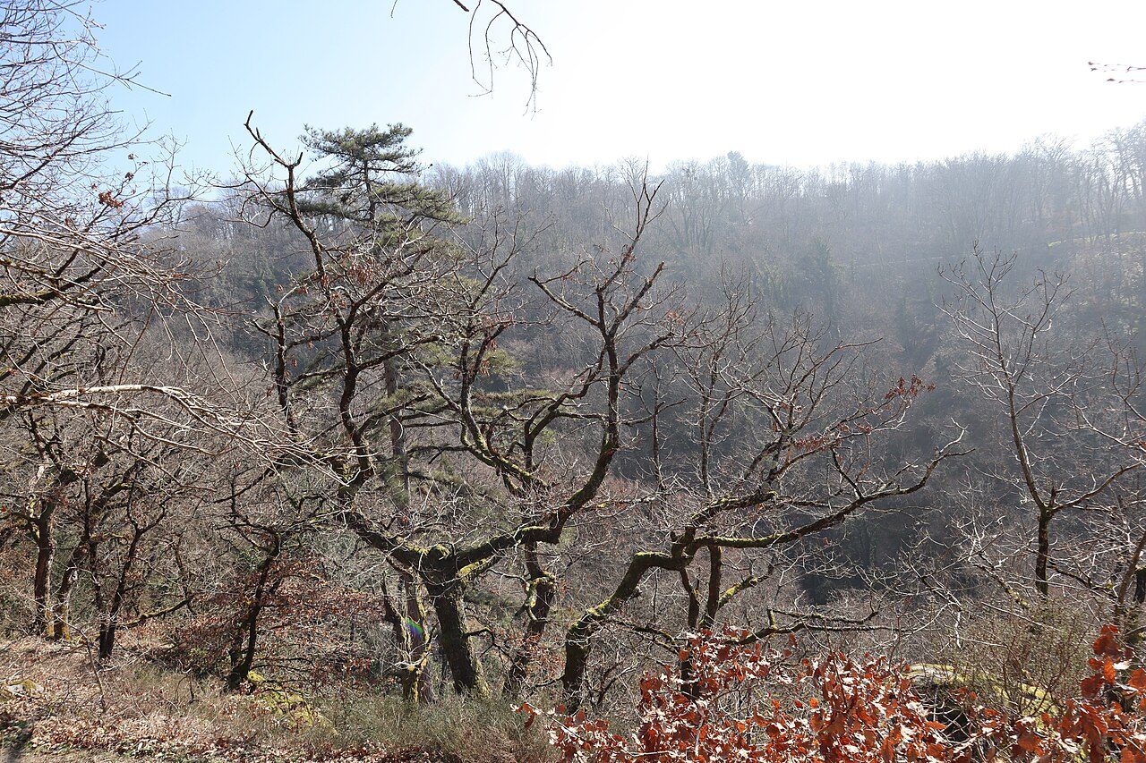 Gorges de Narvau