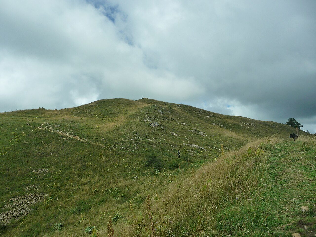 Le Crêt au Merle