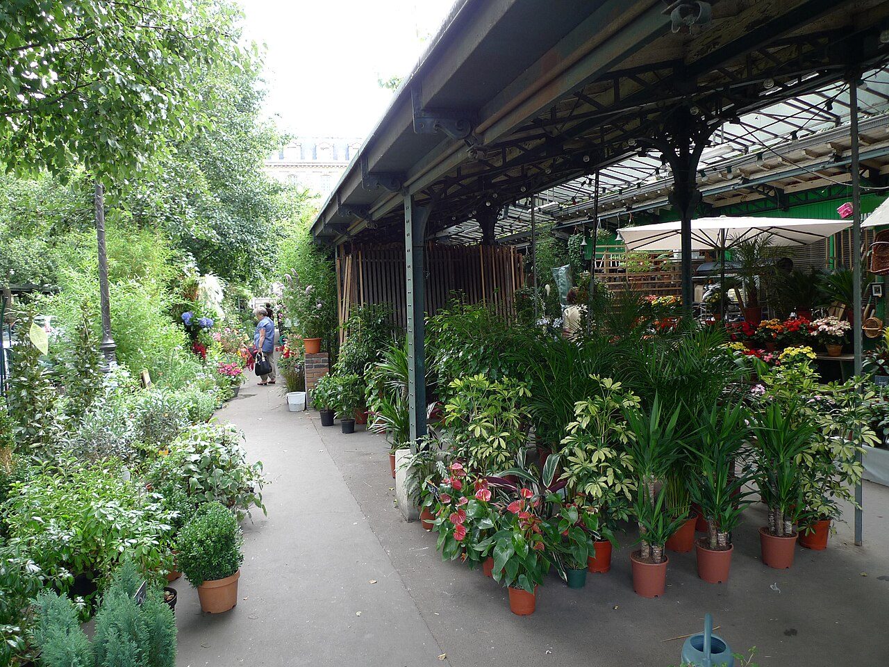 Marché aux fleurs Reine Elizabeth II à Paris 4e Arrondissement