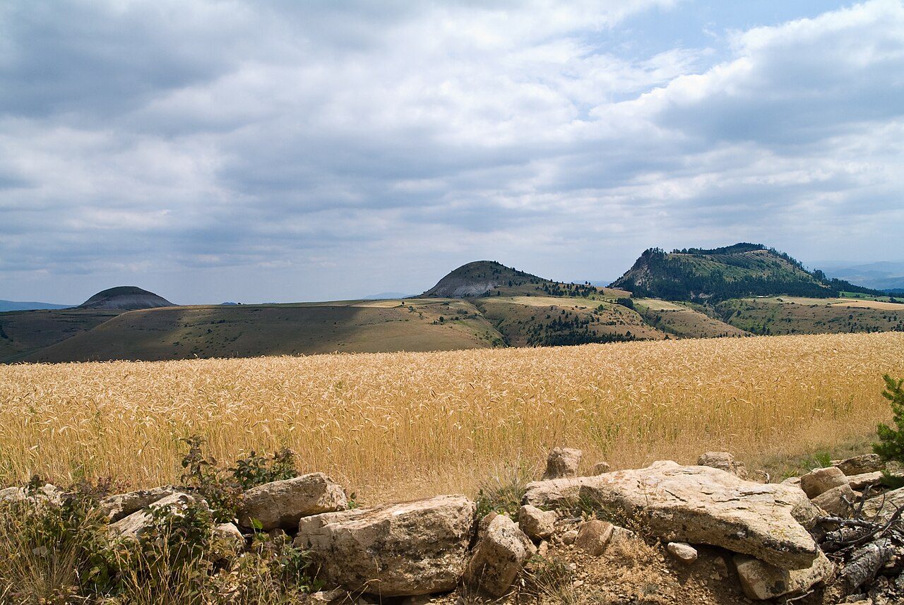 PUECHS DES BONDONS à Les Bondons