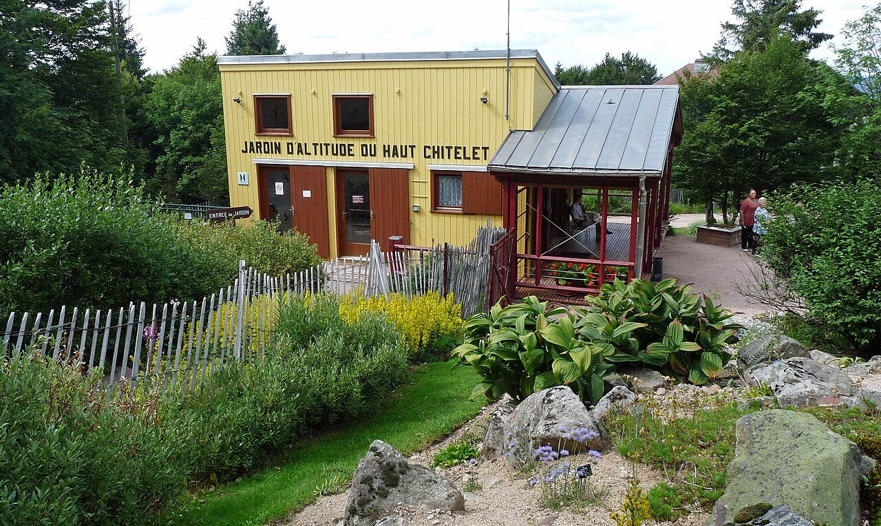 Jardin d'Altitude du Haut Chitelet à Xonrupt-Longemer