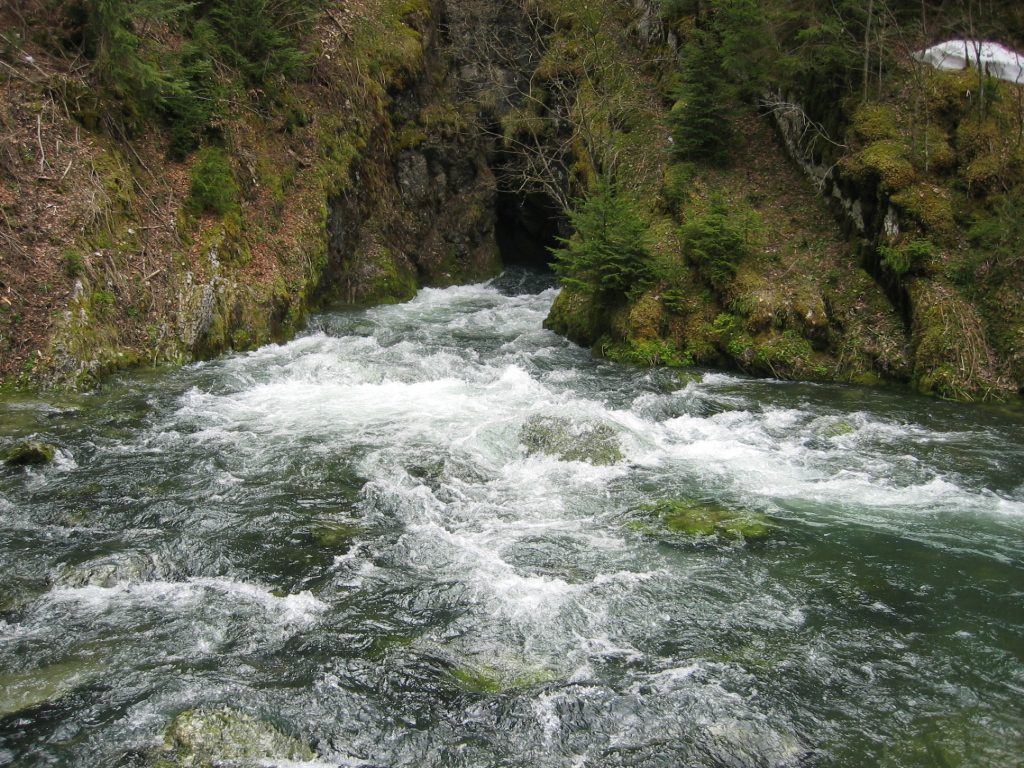Source du Doubs à Mouthe